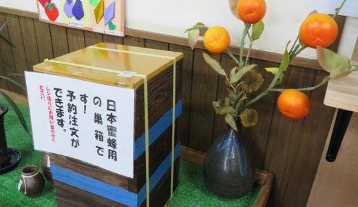 日本ミツバチ専用巣箱