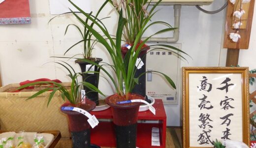 金稜辺入荷しました。